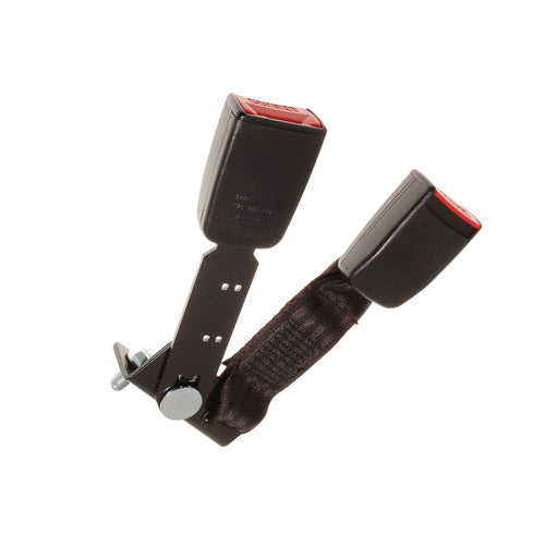 Seat Belt