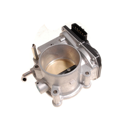 THROTTLE BODY AND MOTOR