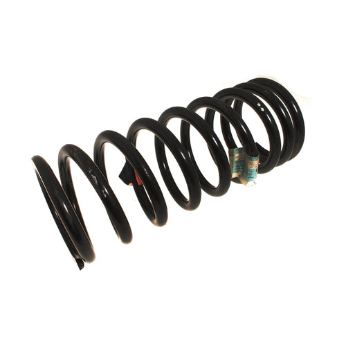 Spring - Coil