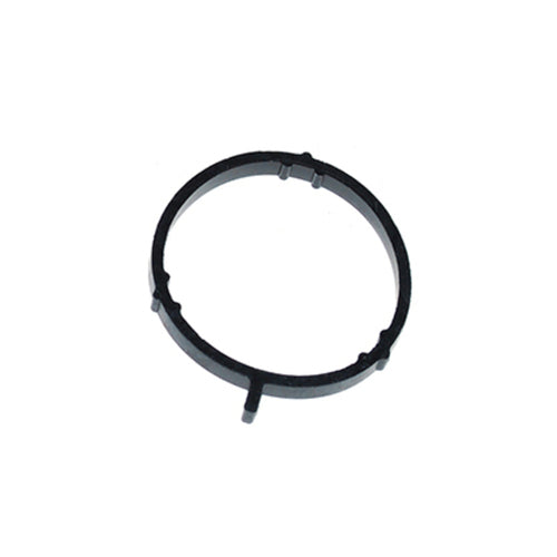Inlet Manifold Seal