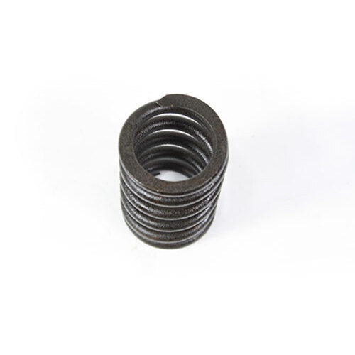 Spring - Valve