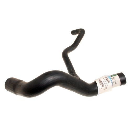 Hose - Radiator