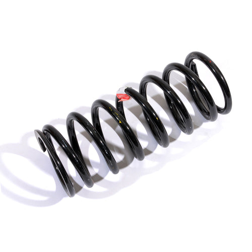 Spring - Coil
