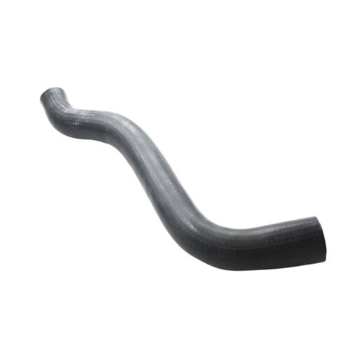 Hose - Radiator
