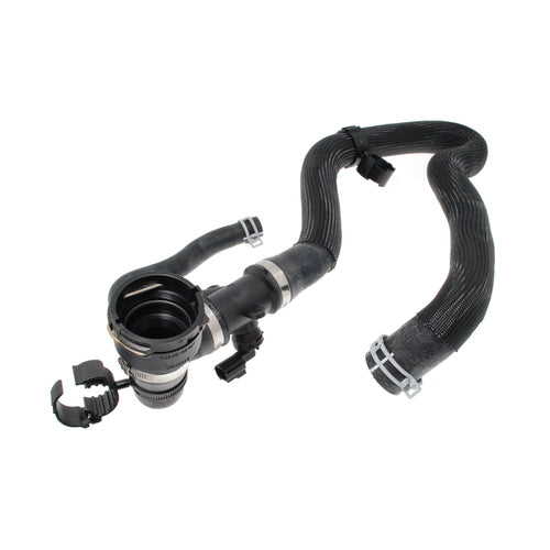 Hose - Radiator