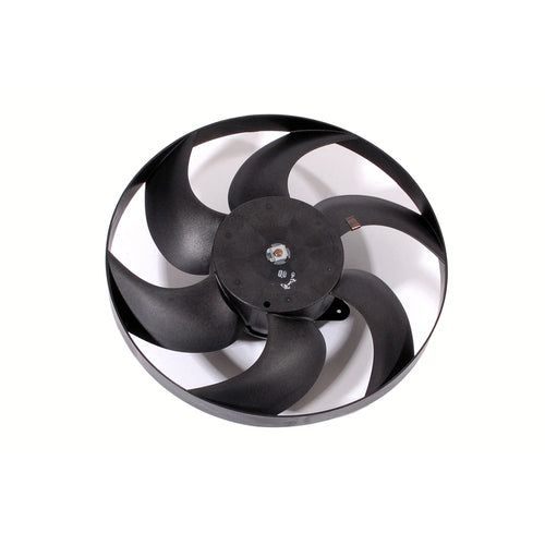 Fan And Motor