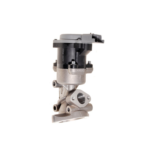 EGR VALVE OEM