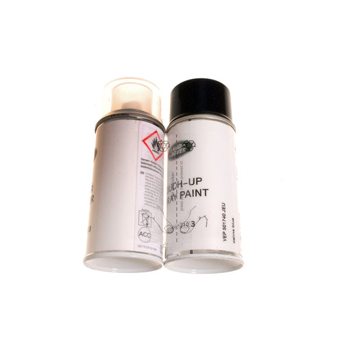 Paint - Aerosol Can
