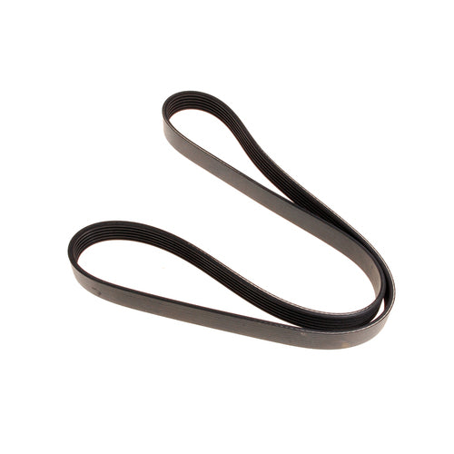 Alternator Belt Oem