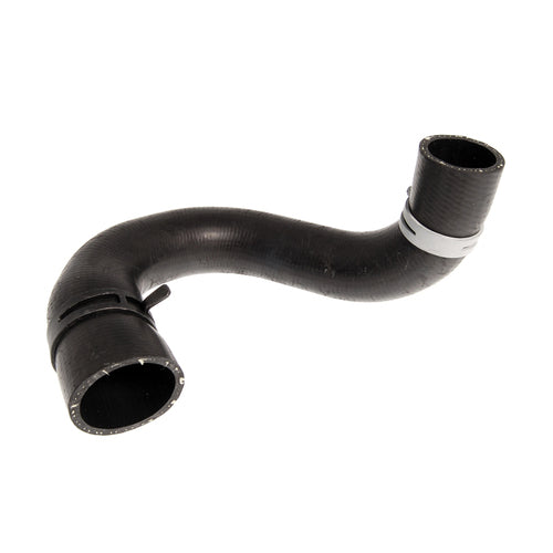 Hose - Radiator
