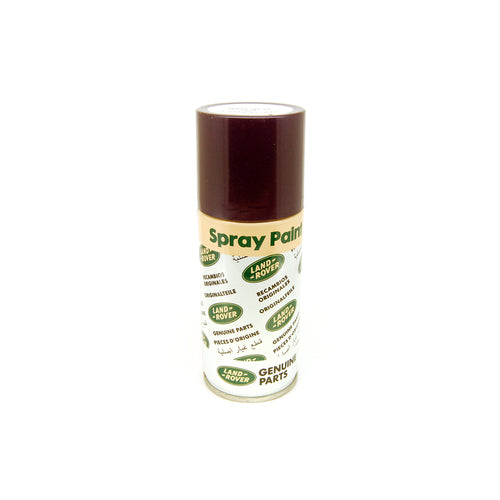 Paint - Aerosol Can