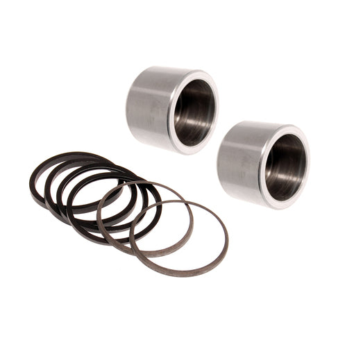 Caliper Repair Kit (Piston & Seals) Rear Am