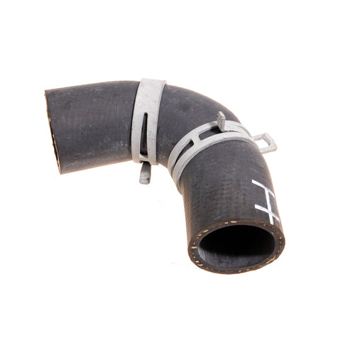 Hose - Radiator