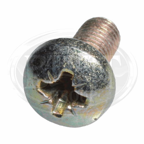 Screw