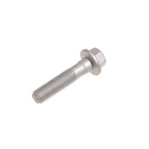 Screw