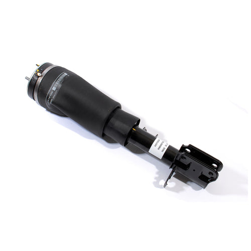 Shock Abs Assy Rh