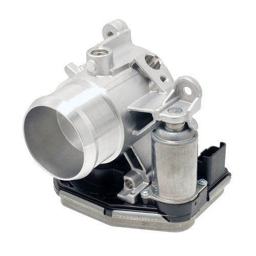 THROTTLE BODY AND MOTOR
