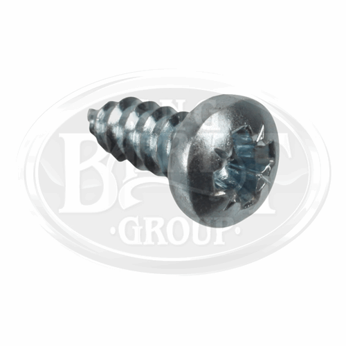 Self Tapping Screw - Posipan, #6 x 3/8" Bzp