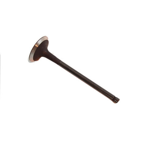 Valve - Exhaust