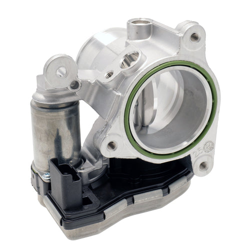 THROTTLE BODY AND MOTOR