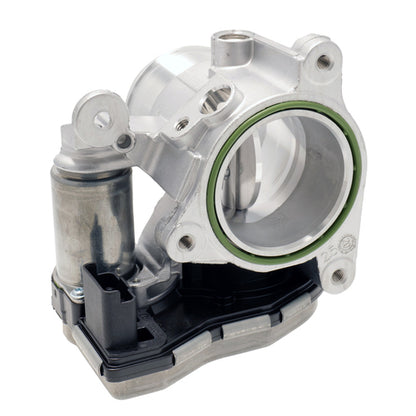 THROTTLE BODY AND MOTOR
