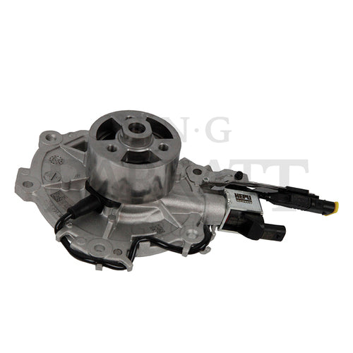 Water Pump Assembly