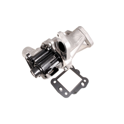 EGR VALVE OEM