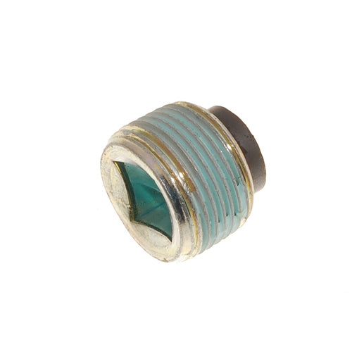 Plug - Drain